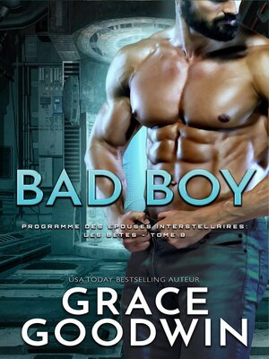 cover image of Bad Boy